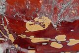 Polished Mookaite Jasper Slab - Australia #166041-1